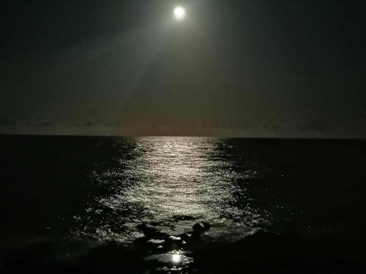Blue Sea. Tony Frias. Las Eras. Arico - Tenerife. Arico el Nuevo Eksteriør bilde